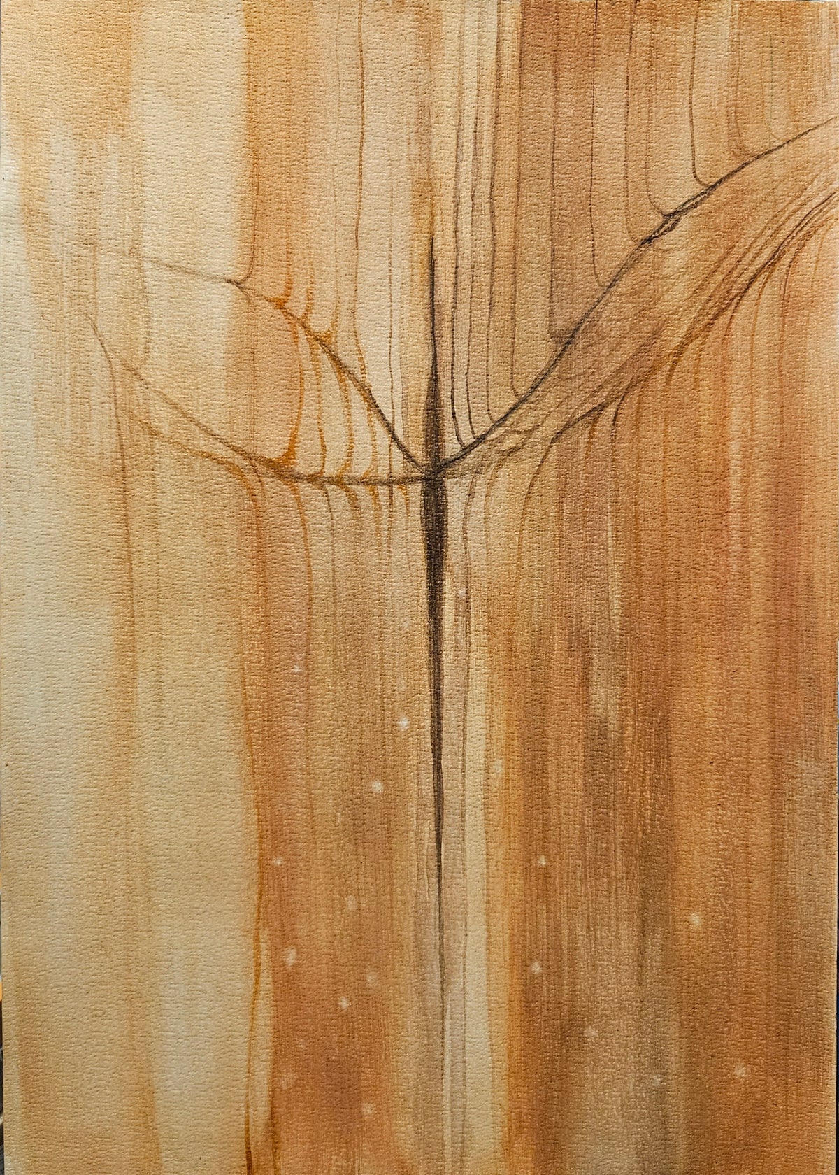 "Korento-olento" ("Dragonfly")